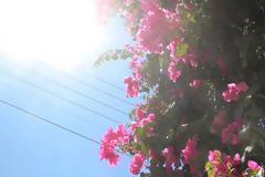 Ζεστός καιρός με νοτιάδες και αφρικανική σκόνη σήμερα Δευτέρα