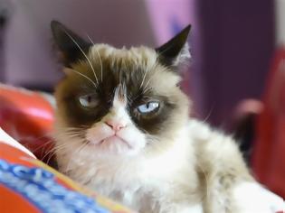 Φωτογραφία για Πέθανε η Grumpy Cat, η πιο διάσημη γάτα του ίντερνετ
