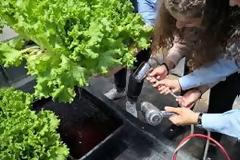 Οι …νανοφυσαλίδες εκτοξεύουν την γεωργική παραγωγή