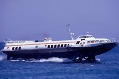 Τι συμβαίνει με το Δελφίνι Ζωής και Ελπίδας;