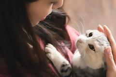 Όταν μιλάμε γι’ αυτές, οι γάτες… το ξέρουν