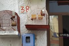 Στο Ηράκλειο ο... Τσίπρας μένει σε κλουβί