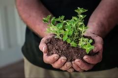 Η Πολιτεία της Ουάσινγκτον νομιμοποίησε την κομποστοποίηση νεκρών