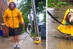 15 άνθρωποι που έκαναν το «κάτι παραπάνω» για τα κατοικίδιά τους!