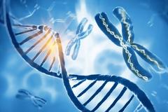 Οι επιστήμονες ερευνούν αν το DNA μας δείχνει πότε θα αρρωστήσουμε