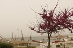 Ευρωεκλογές 2019: Ο καιρός φέρνει 30άρια – Στις κάλπες με αφρικανική σκόνη, ήλιο και πολλή ζέστη