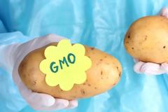 Τι βρήκε μια ανασκόπηση 6.000 μελετών για τα μεταλλαγμένα