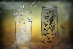 Η αξία της αμφιβολίας