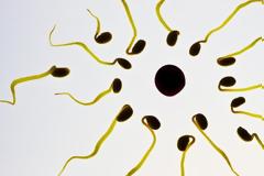 Eρευνα: Να ποιοι έχουν τη χειρότερη ποιότητα σπέρματος στην Ευρώπη