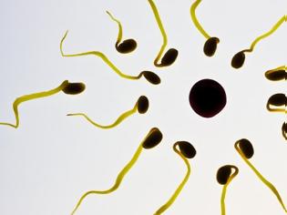 Φωτογραφία για Eρευνα: Να ποιοι έχουν τη χειρότερη ποιότητα σπέρματος στην Ευρώπη