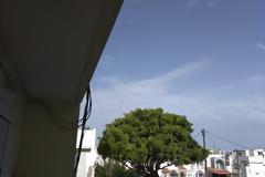 Συνεπής στο προεκλογικό κλάδεμα στο Ροδίνι - φωτος