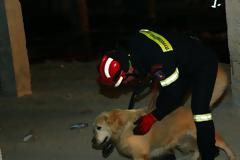 Ο σκύλος της ΕΜΑΚ βρήκε 80χρονο που είχε εξαφανιστεί