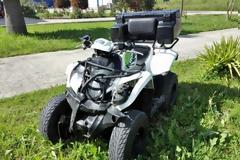 Νέο ατύχημα με γουρούνα – Τραυματίστηκε ζευγάρι