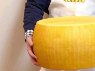 Φωτογραφία για Αυτό το τεράστιο κεφάλι τυρί ζυγίζει 32 κιλά και πωλείται για $900!