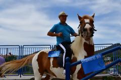 Οι εκλογές σε φωτος: Με άλογα, σκυλάκια και... νυφικά στην κάλπη