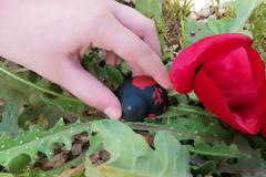 Tο σαλιγκάρι από την Αρχαία Κόρινθο