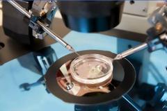 Κορυφαίος επιστήμονας για εξωσωματική γονιμοποίηση: Θα μεταβάλει την ανθρώπινη εξέλιξη