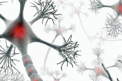 Όλα όσα θα θέλατε να μάθετε για την πολλαπλή σκλήρυνση (σκλήρυνση κατά πλάκας). Μύθοι και αλήθειες