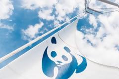Το καράβι του WWF «Blue Panda» έρχεται Ελλάδα