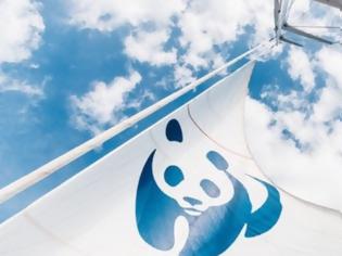 Φωτογραφία για Το καράβι του WWF «Blue Panda» έρχεται Ελλάδα