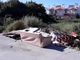Φωτογραφία για Αγανάκτηση με τα σκουπίδια και τα αγριόχορτα στην Ιαλυσό