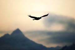 Κρησφύγετο στο μέλλον