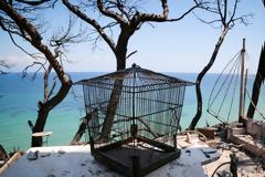 «Καμπανάκι» της WWF: Ανοχύρωτη η χώρα απέναντι στις πυρκαγιές 10 μήνες μετά τον όλεθρο στο Μάτι