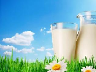 Φωτογραφία για Η θρεπτική, διατροφική αξία, που έχει το γάλα. Παγκόσμια Ημέρα του Γάλακτος