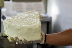 Αποκωδικοποιήθηκε το «DNA» της ελληνικής φέτας – Περιέχει 489 διαφορετικές πρωτεΐνες