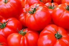 Βρέθηκε το γονίδιο που κάνει νόστιμη τη ντομάτα