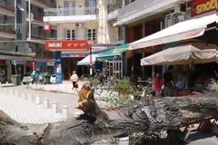 ΒΙΝΤΕΟ.Δέντρο έπεσε σε καφέ