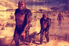 Τι ώθησε τους προγόνους μας να... κατέβουν από τα δέντρα!