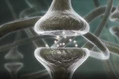 Πώς οι σκέψεις μας αλλάζουν τον εγκέφαλο, τα κύτταρα και τα γονίδιά μας