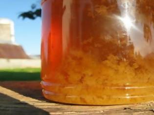 Φωτογραφία για Τι σημαίνει όταν κρυσταλλώνει το μέλι; Όλη η κρυμμένη αλήθεια που πρέπει να ξέρετε…