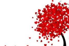 H εθελοντική αιμοδοσία συναντά την ιστορία