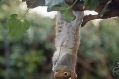 Δυστυχώς, η πίστη των περισσοτέρων από εμάς έχει καταντήσει σκέτη ιδεολογία