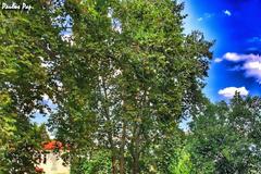 Αρχιμ.Χρυσόστομου Παπαδάκη - Τα πρέπει, τα μη και τα θέλω