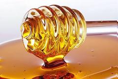 Αύξηση και με προοπτικές στις εξαγωγές μελιού προς τη Γαλλία