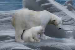 Η κλιματική αλλαγή απειλεί την υγεία: Αυξήθηκαν οι λοιμώδεις νόσοι και τα ψυχικά προβλήματα