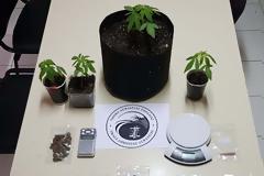 Δύο συλλήψεις στην Πτολεμαΐδα, για καλλιέργεια δενδρυλλίων κάνναβης και κατοχή ναρκωτικών (εικόνα)