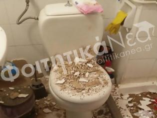 Φωτογραφία για Φοιτήτρια στα Ιωάννινα έκανε μπάνιο και της… έπεσε το ταβάνι στο κεφάλι (ΦΩΤΟ)