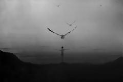 Federico García Lorca - Η Προαίσθηση