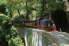 ΤΡΑΙΝΟΣΕ: Τα δρομολόγια του «Μουτζούρη» στο Πήλιο δεν εκτελέστηκαν λόγω έλλειψης μηχανοδηγών