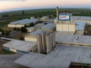 Φωτογραφία για Γάλα Βλάχας: «Λουκέτο» μετά από 45 χρόνια στο εργοστάσιο