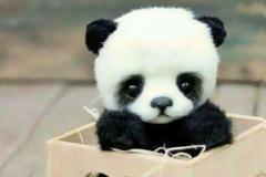 Γεννήθηκε το πρώτο μωρό πάντα της χρονιάς σε καθεστώς αιχμαλωσίας