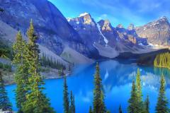 Το δέντρο που βγάζει... λεφτά βρίσκεται στην Αλάσκα