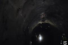 Πρόγραμμα προστασίας νυχτερίδων στην περιοχή της Παναγοπούλας