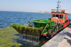 Ειδικά σκάφη καθαρίζουν τον Θερμαϊκό από τα ποντίκια