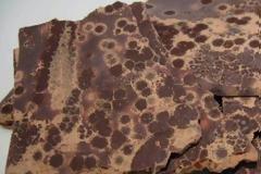 Γιατί... ασπρίζει η σοκολάτα -Πόσο επικίνδυνο είναι