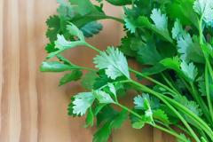 Κόλιανδρος: Γνωρίστε τα μοναδικά οφέλη του για την ψυχική και σωματική υγεία